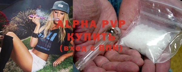 прущие крисы Надым
