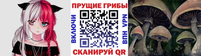 Галлюциногенные грибы мухоморы  shop клад  Туран 