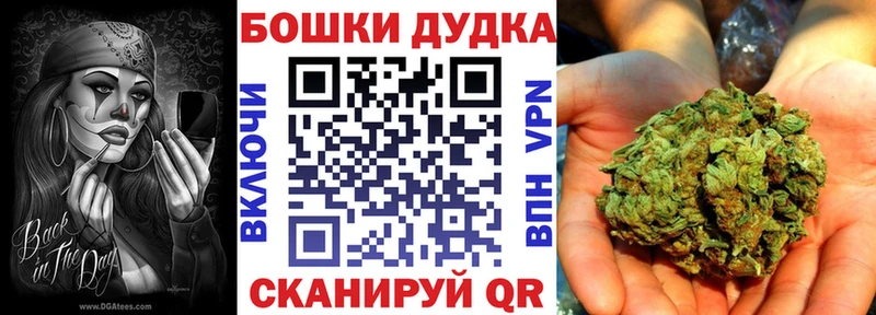 Конопля сатива  Туран 